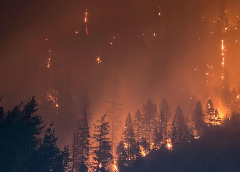 Silhouette of a wildfire in the forest. 